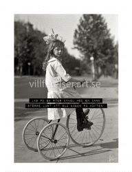 Cykel Print poster tavla Villfarelser humor