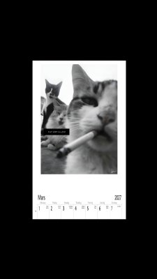 Zoomaa kuva kohteesta Villfarelsers Kalender 2027 