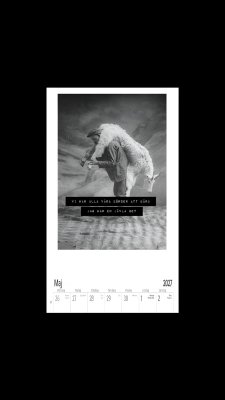 Zoomaa kuva kohteesta Villfarelsers Kalender 2027 