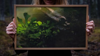 Zoom bild av Yuvi och fikonträdet, 50x30 cm