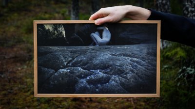 Zoom bild av Klipporna, 50x30 cm