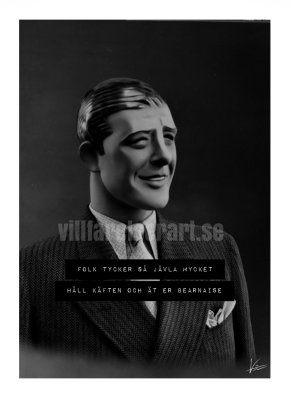 Zoomaa kuva kohteesta Poster print Humor ironi bea villfarelser villfarelserart
